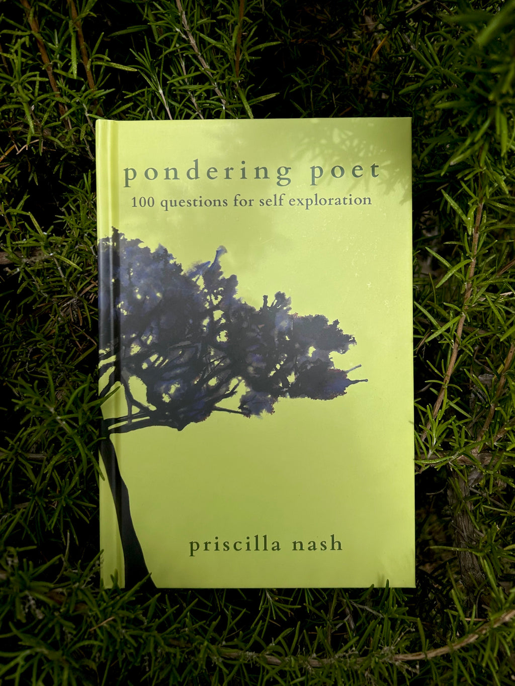 Pondering Poet: 100 Questions for Self Exploration