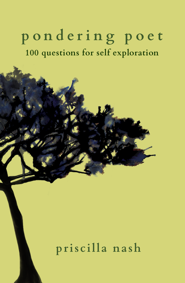 Pondering Poet: 100 Questions for Self Exploration